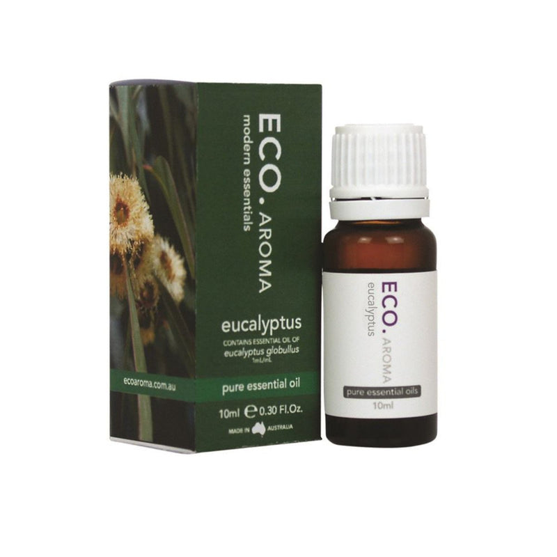 ECO Aroma Essential Oil Eucalyptus 10ml